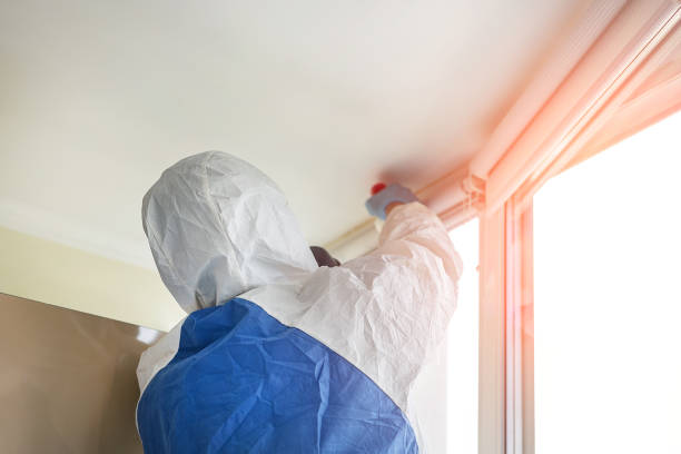 Mold Remediation for Vacation Homes in Lockport Heights, IL