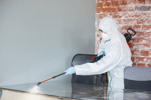 Best Residential Mold Inspection & Testing  in Lockport Heights, IL